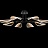 Серия потолочных светодиодных люстр с прозрачными листовидными плафонами с черными и латунными перегородками на лучевом каркасе VISUAL C золото фото 15