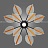 Серия потолочных светодиодных люстр с прозрачными листовидными плафонами с черными и латунными перегородками на лучевом каркасе VISUAL C фото 6