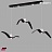 Светильники чайка 1 плафон  Черный Круглая база фото 10